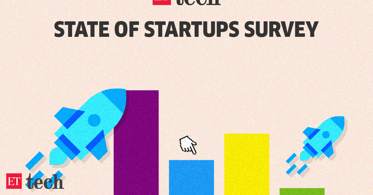ETtech State of Startups survey: ETtech State of Startups survey predicts revival in private funding, more IPOs in 2025