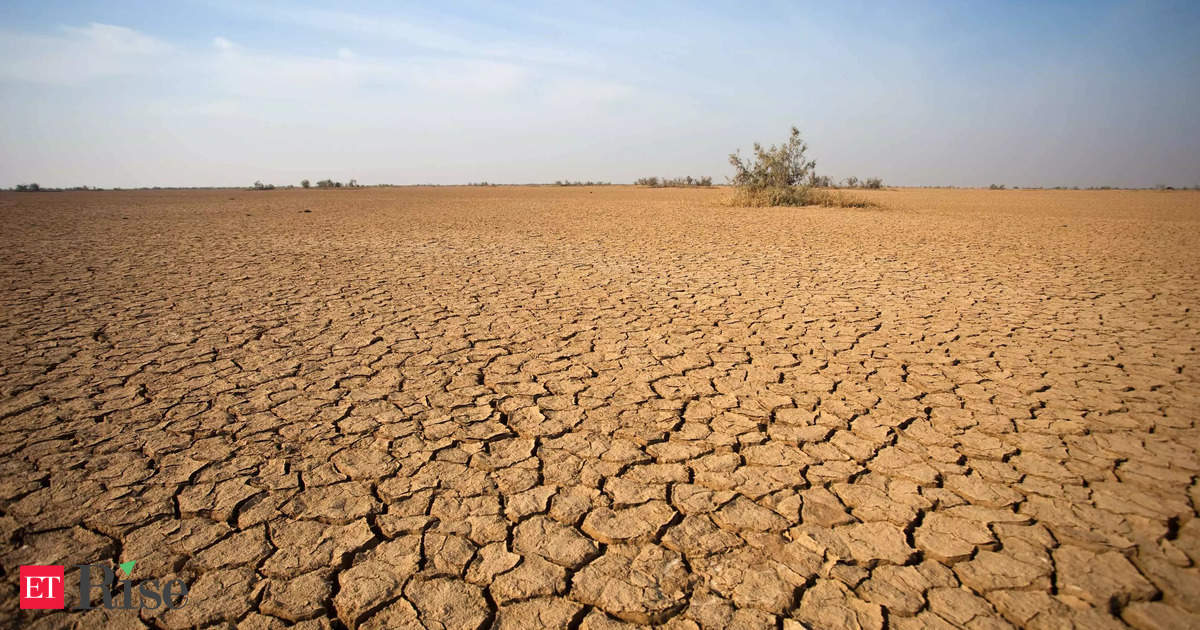 COP16 report warns three-quarters of global land 'permanently drier'