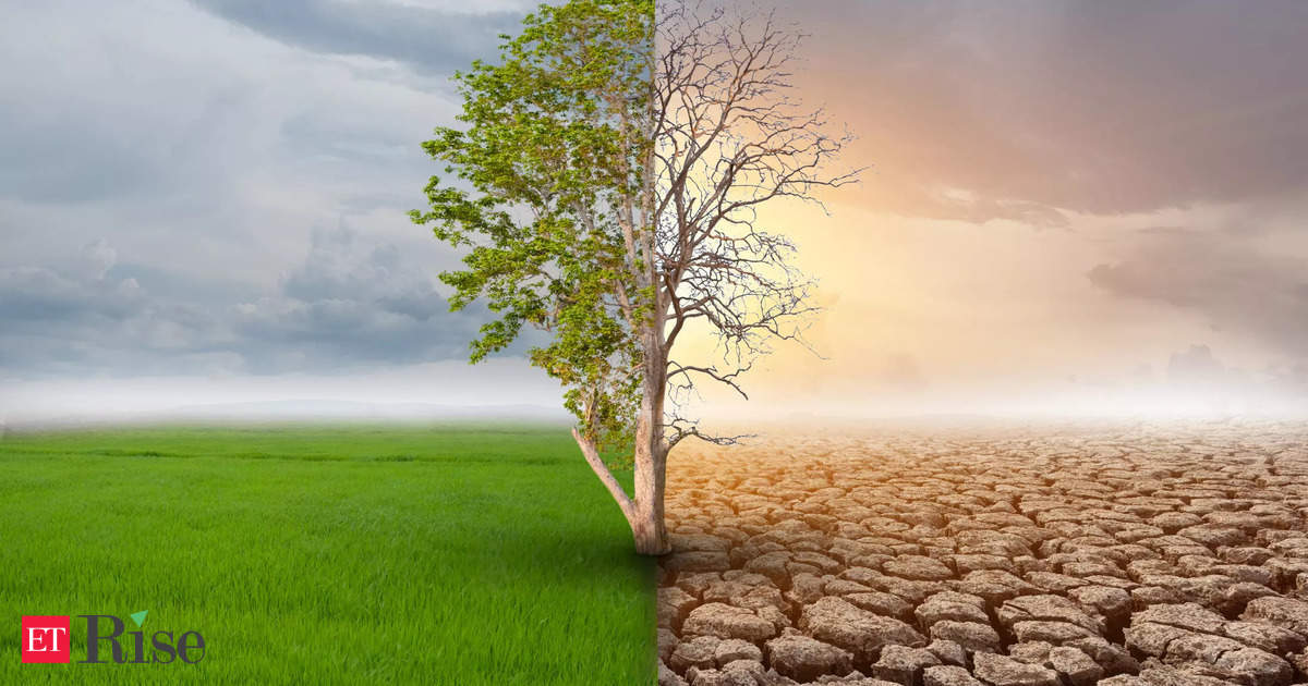 Asia and Africa’s climate resilience hindered by financial and developmental inequities: Climate and Sustainability Initiative
