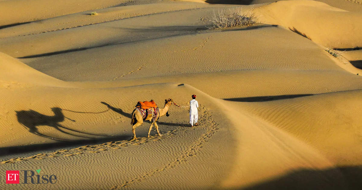 Saudi eyes collaboration with Rajasthan on climate challenges