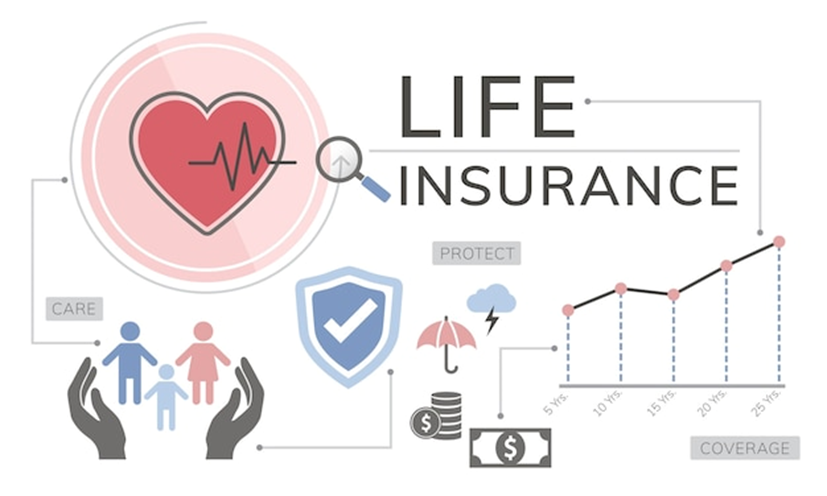 The Role of Life Insurance Premium Calculators in Startup Financial Planning