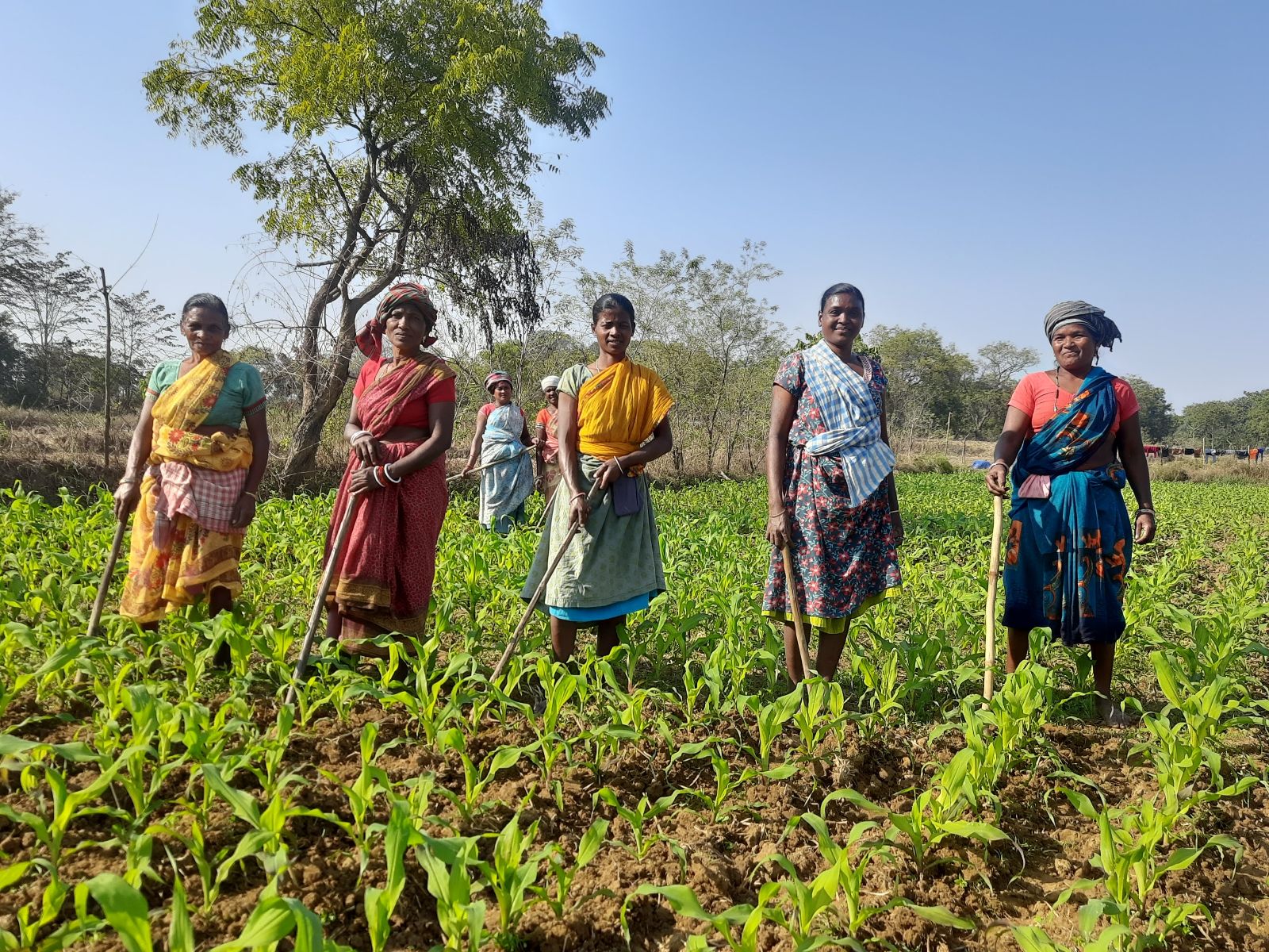 Turning ₹2.35 Crore Grant into ₹17.9 Crore of Impact: How Villgro-360 ONE Foundation’s Capital For Impact is Benefitting Thousands of Marginalised Farmers