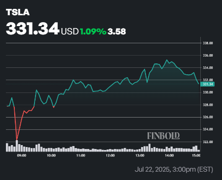Tesla Earnings Report Q2 2025: Revenue Misses, TSLA Stock Slips Amid EV Market Headwinds