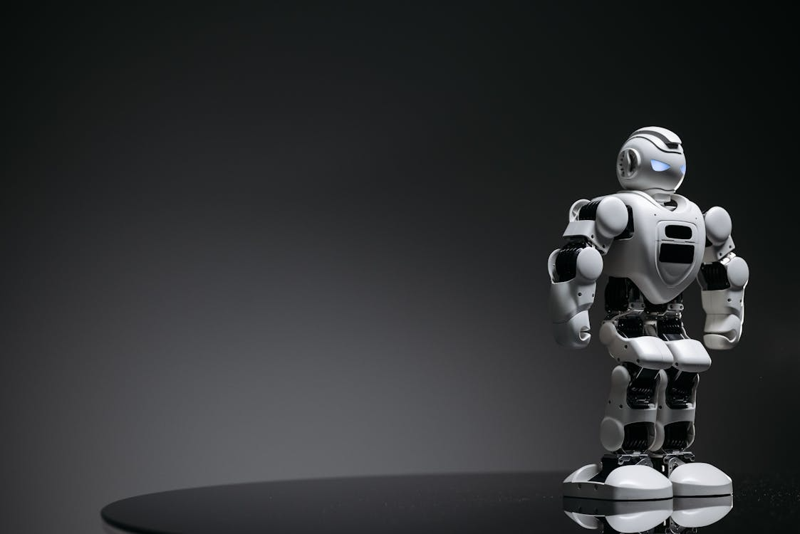 Human Signal In An AI Loud Startup World
