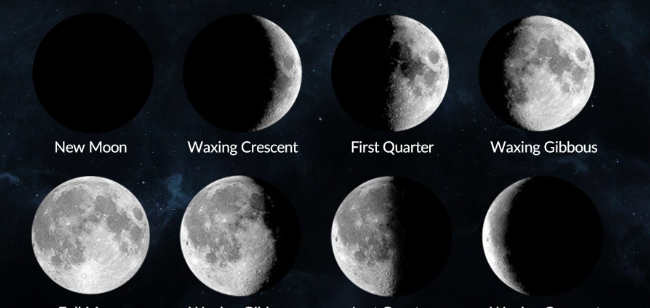Moon Phase Today: Rare October Harvest Supermoon Lights Up the Sky with Shooting Stars