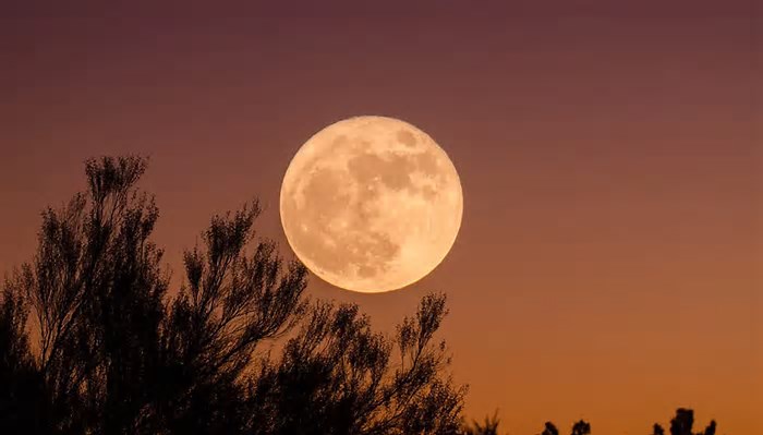 Luna llena octubre 2025: la Luna de Cosecha iluminará el cielo con su máximo esplendor