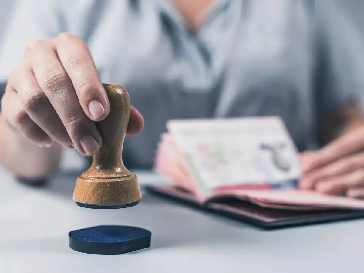 BLS International Debarred from Government Tenders: All You Need to Know