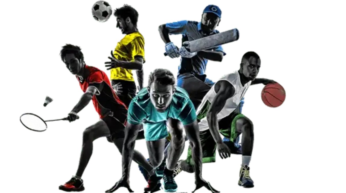 Sportsbook Software: The Backbone of Modern Sports Betting