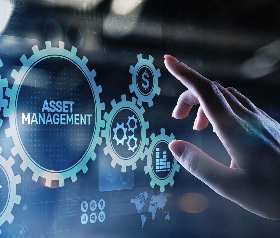 The Growing Importance of Asset Management Software in 2025