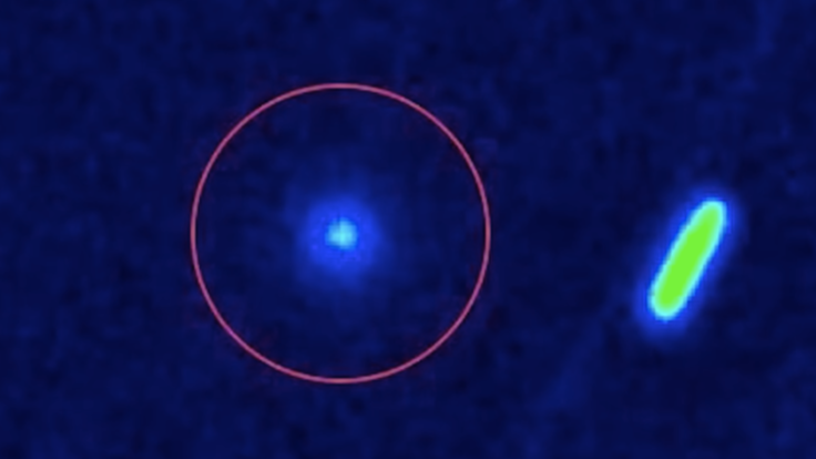 NASA Faces New Cosmic Mystery as Astronomer Avi Loeb Warns About Comet 3I/ATLAS Radio Signal