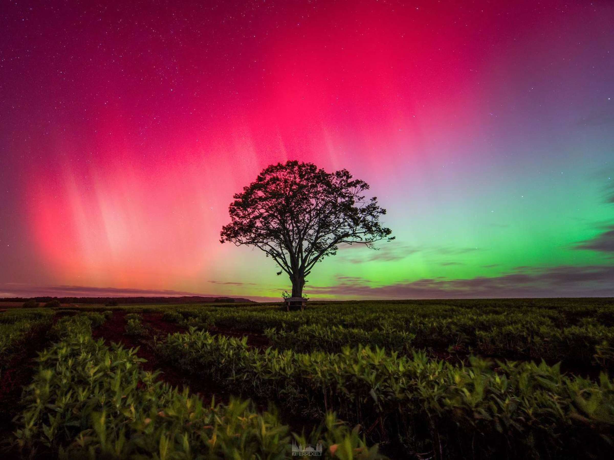 Polarlichter Deutschland: Spektakuläres Nordlicht erwartet – stärkster Sonnensturm des Jahres erreicht die Erde