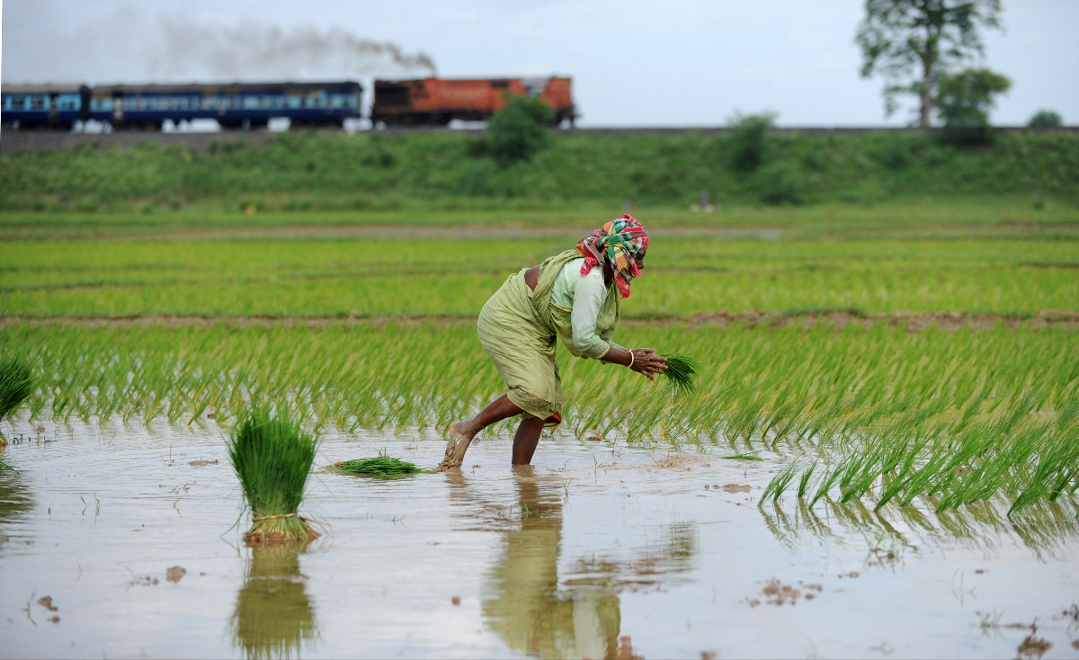 Varaha helps Indian farmers reduce climate-harming practices like burning crop residue and flooding rice fields