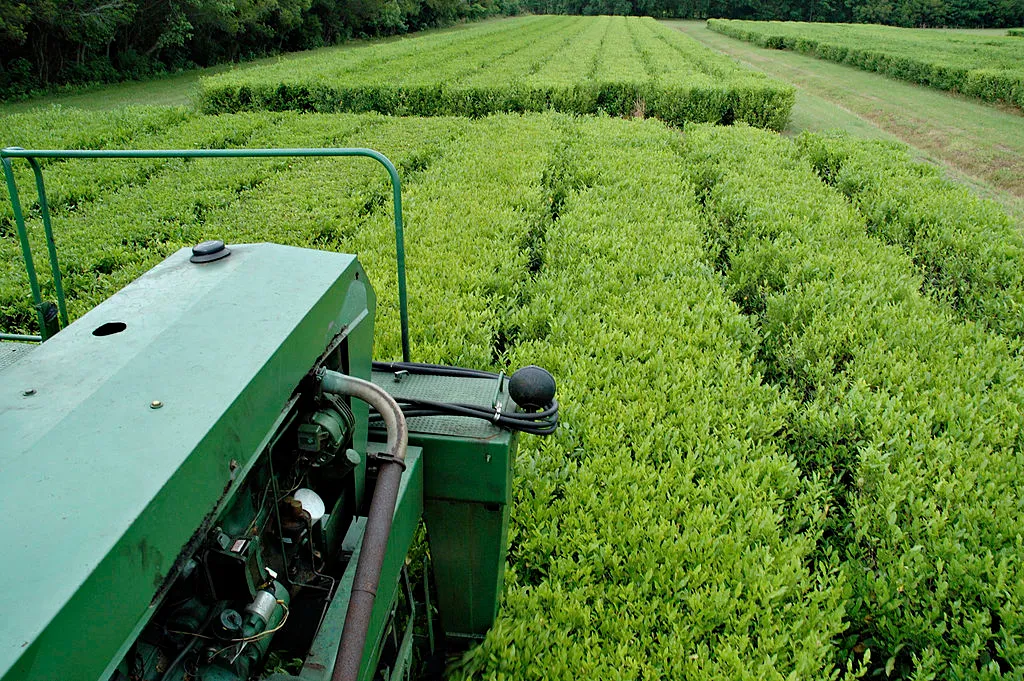 Seso is building software to fix farm workforces and solve agriculture's HR woes