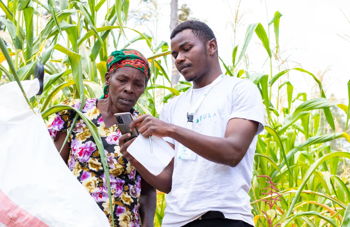 Pula raises $20M Series B to provide agricultural insurance to farmers in Africa, Asia and LatAm