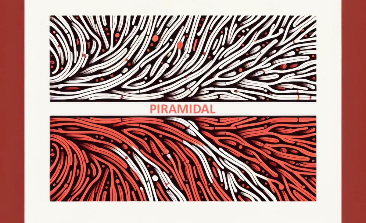 Piramidal's foundation model for brainwaves could supercharge EEGs