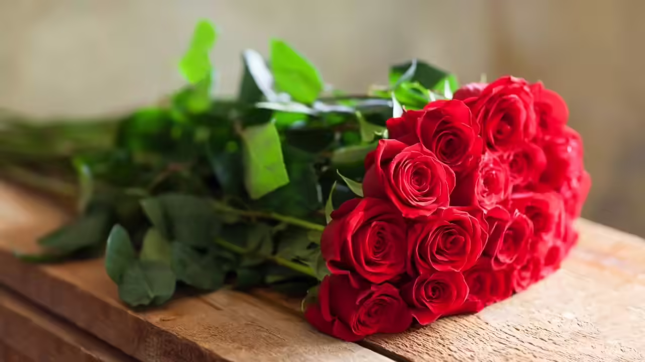 Happy Rose Day 2024: Best Wishes, Stickers, Messages, Status, Images for WhatsApp and Instagram |