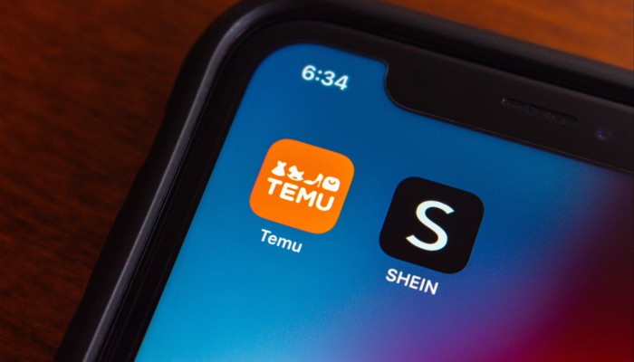 Temu and Shein cost Germany 2.4 billion euros yearly