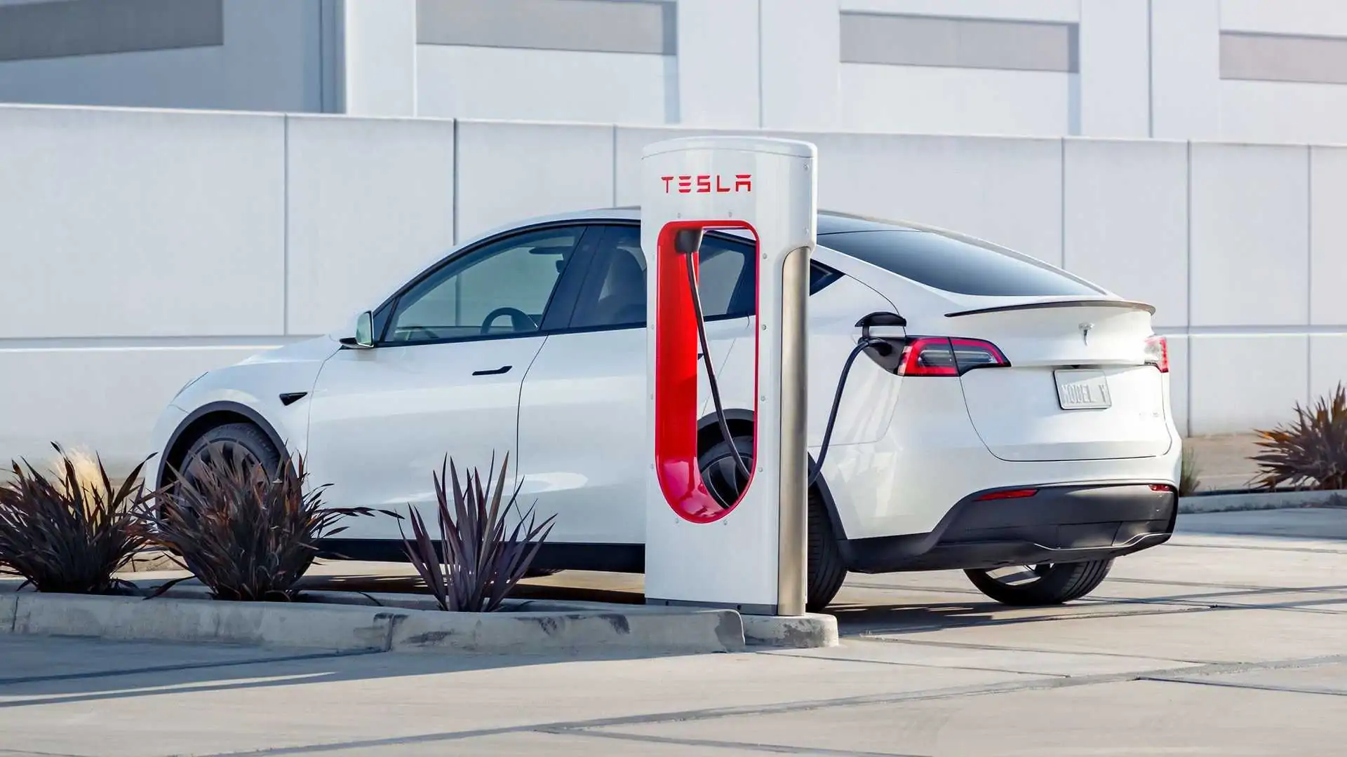 South Korea online sales hit record on Tesla demand