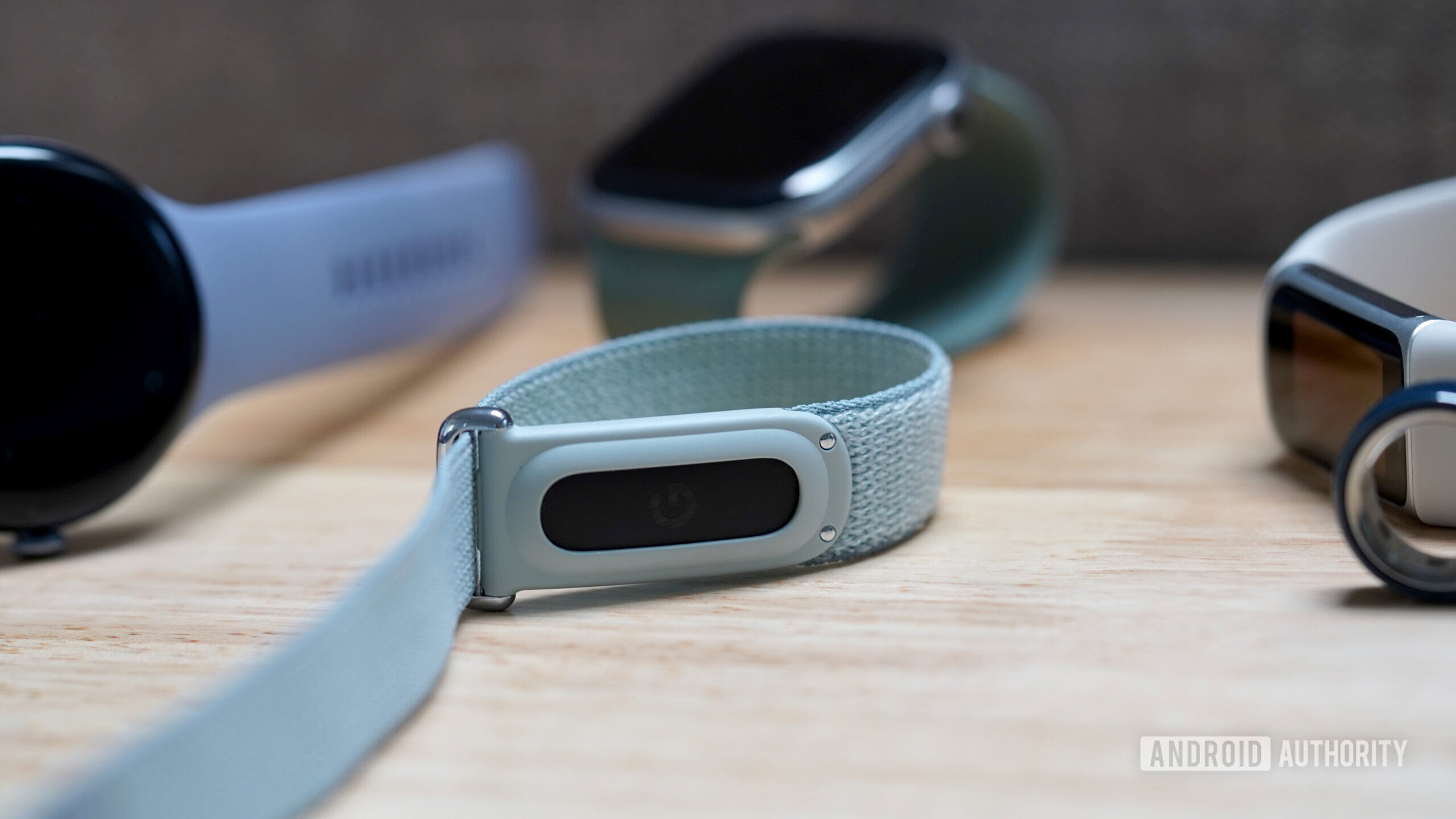 Google Fitbit Air alternatives A Google Fitbit Air rests among alternatives.