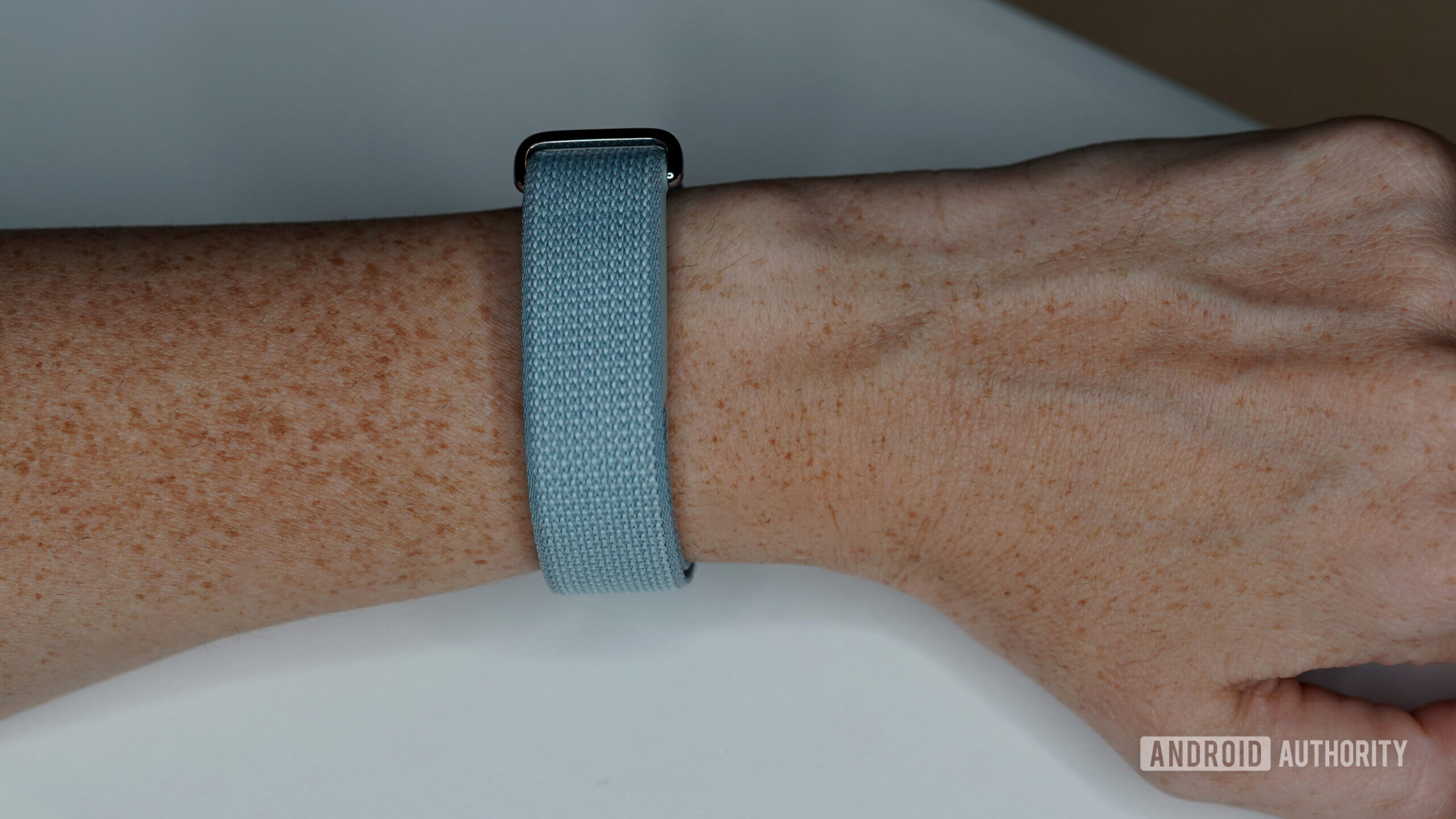 Google Fitbit Air Nylon The Fitbit Air's performance loop is exceptionally comfortable.
