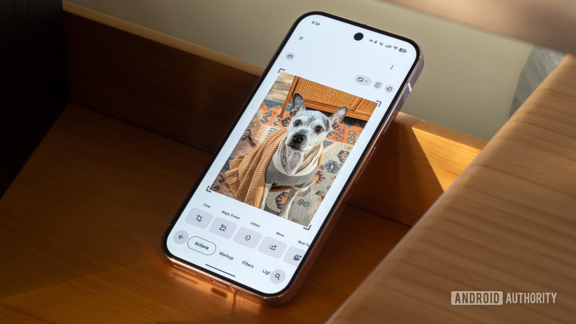google photos app editor light theme