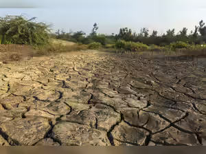 Global warming likely to exceed 1.5C through 2030, WMO says