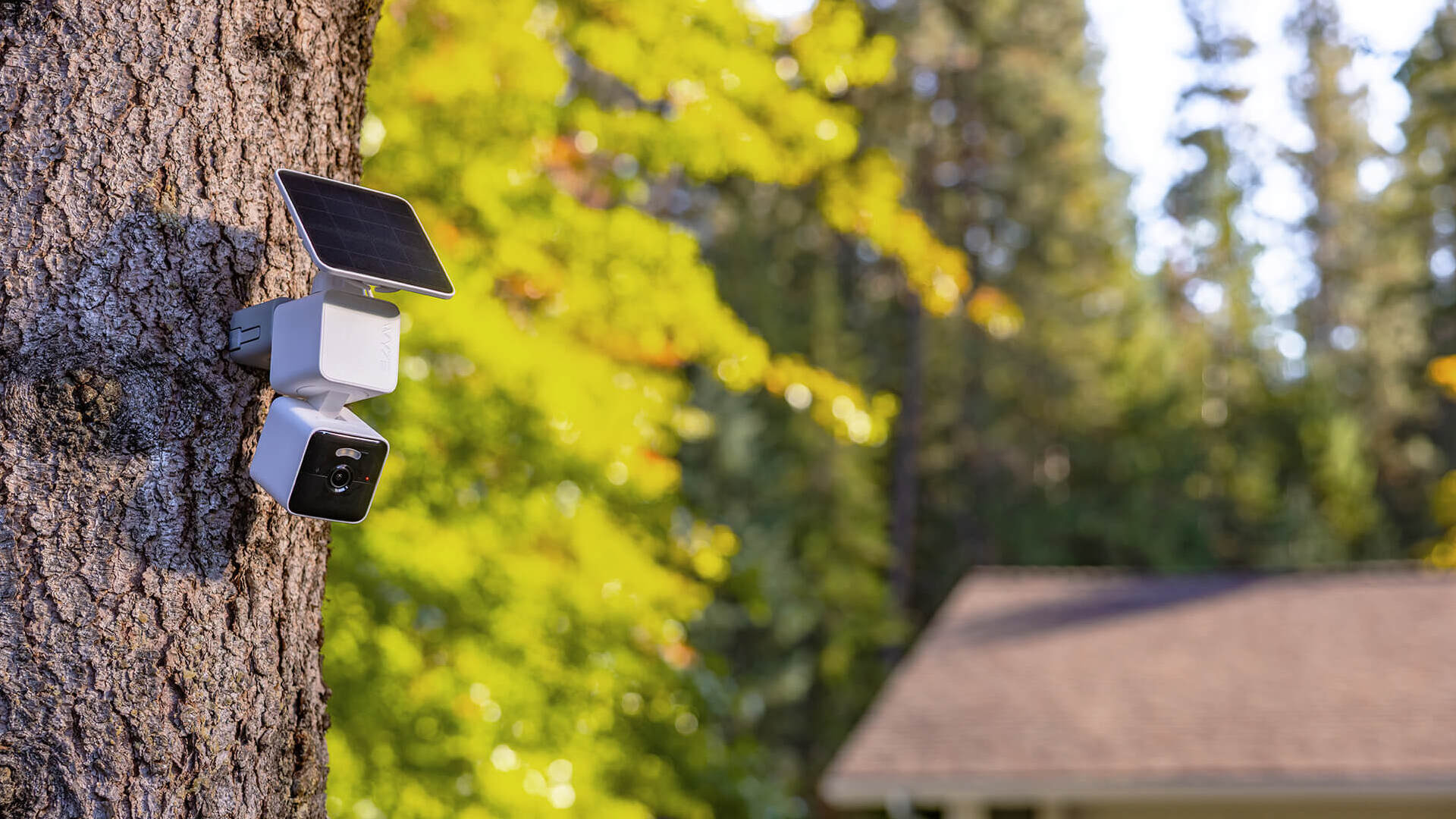 Wyze recalls over 320,000 security cameras due to fire and explosion hazards