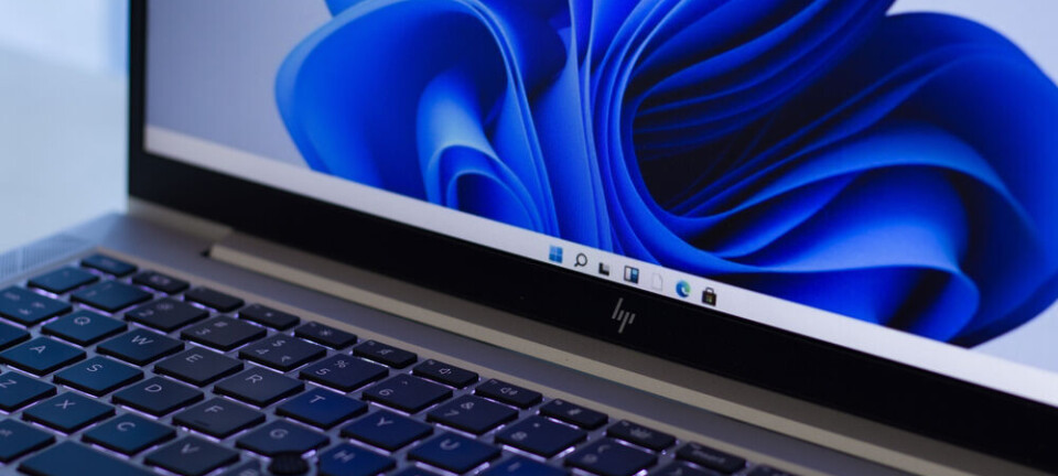 HP laptop showing the Windows 11 desktop and taskbar on screen.