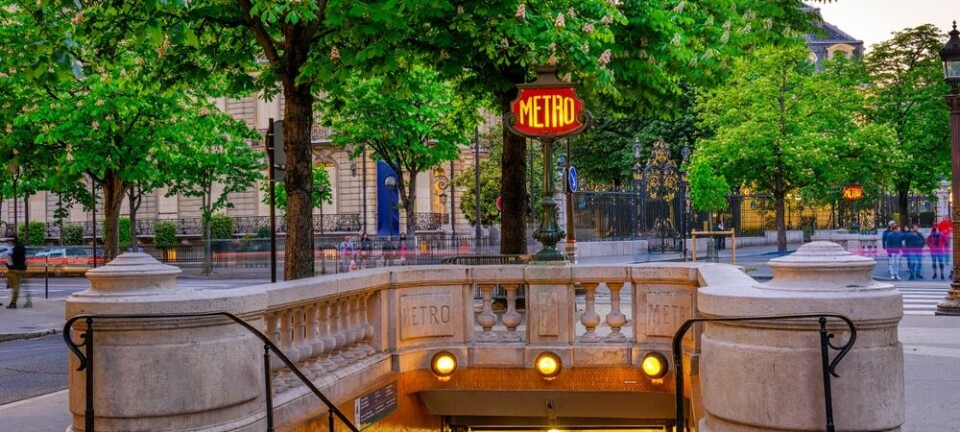 Paris Metro entrance with stairs under a tree-lined sidewalk on the Champs-Élysées.