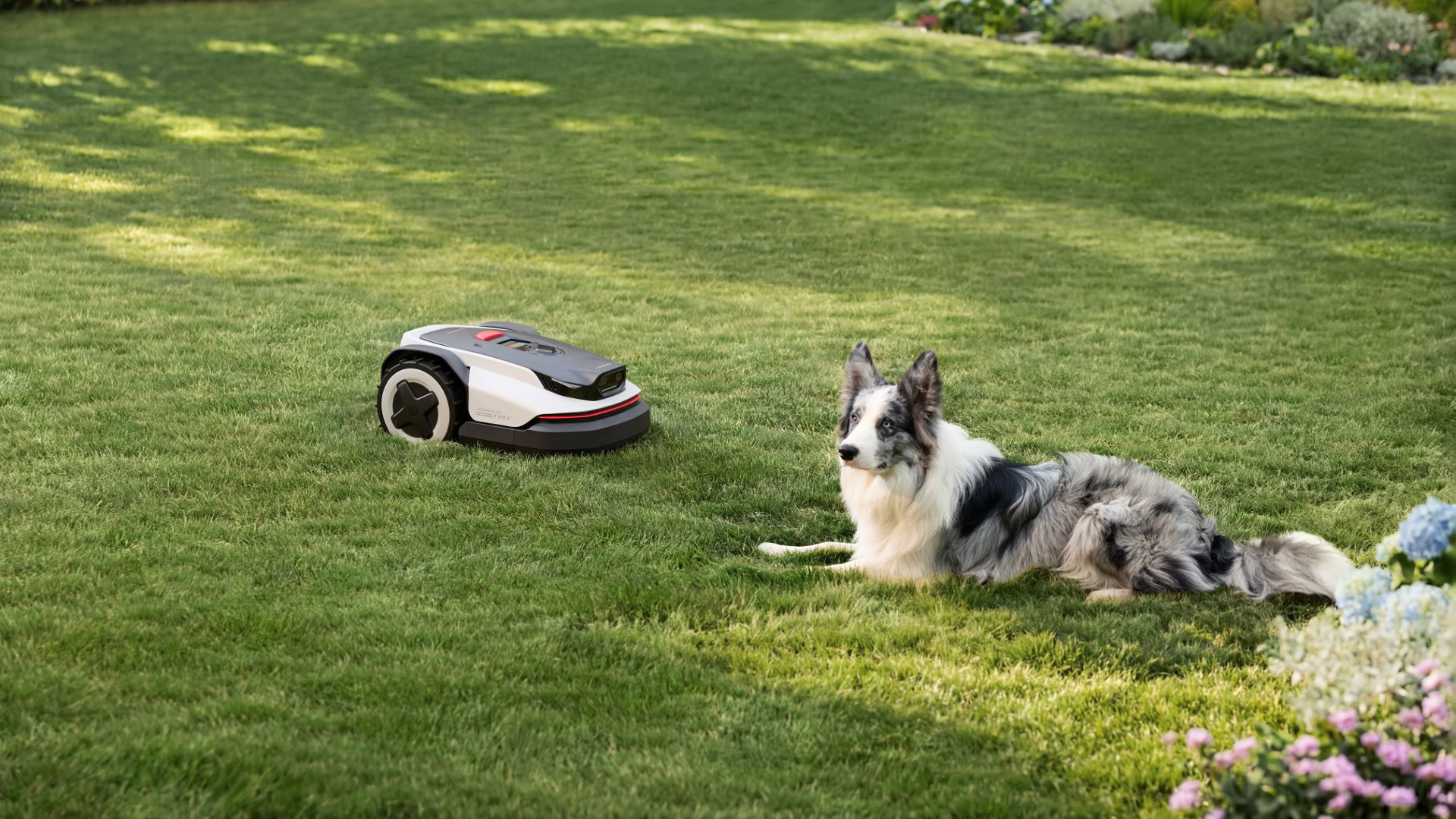 RockNeo Q1 4 RockNeo Q1 4