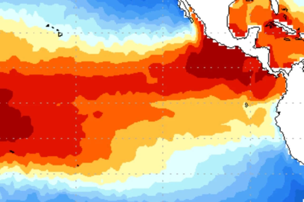 A map of sea surface temperature anomalies in the tropical Pacific centered on June 3, 2026