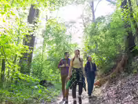 The Emerald Labyrinth: Louisiana’s “Year of Outdoors” theme offers curated nature trails and context-rich travel