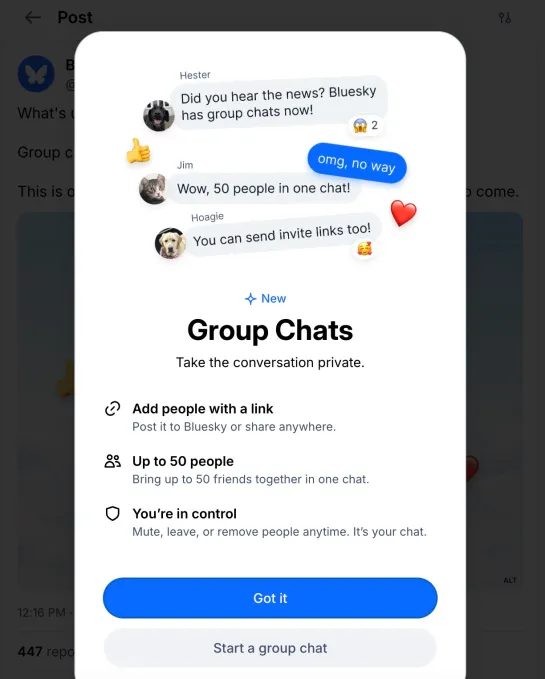 Bluesky launches group chats, as company shifts focus to community features