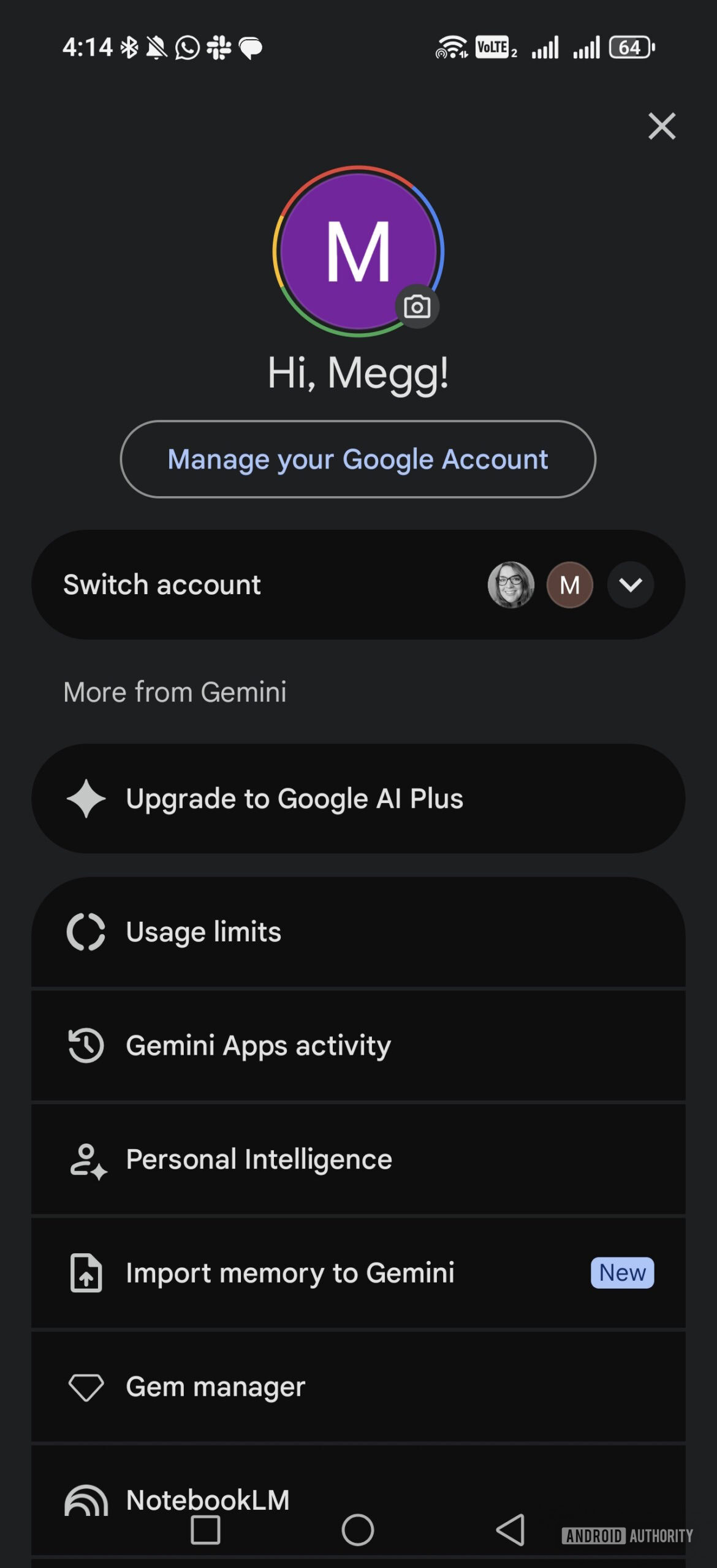 gemini settings page