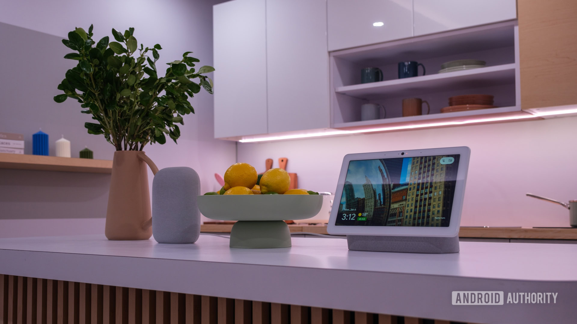 Google Nest products with Gemini models family