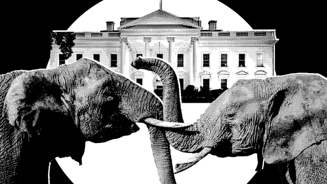 It’s Officially Election Season in Trumpworld