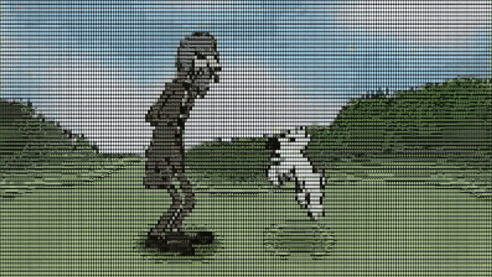 Dev releases ‘unblockable’ ASCII video stream software, stoking fears of unstoppable ads — delivers 360p video at 30 FPS and acts as a ‘bridge for AI’
