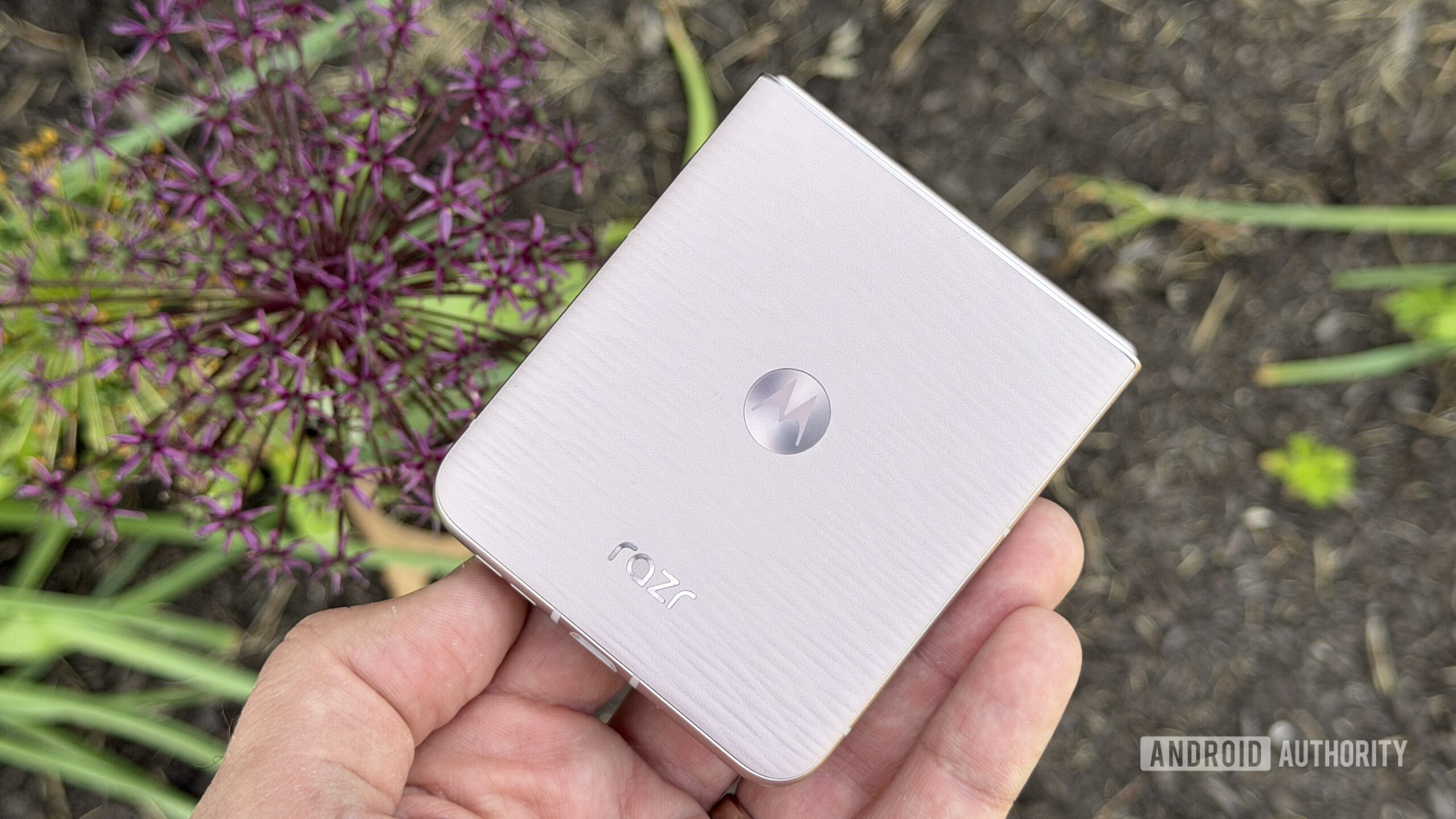 Motorola Razr 2026 flower