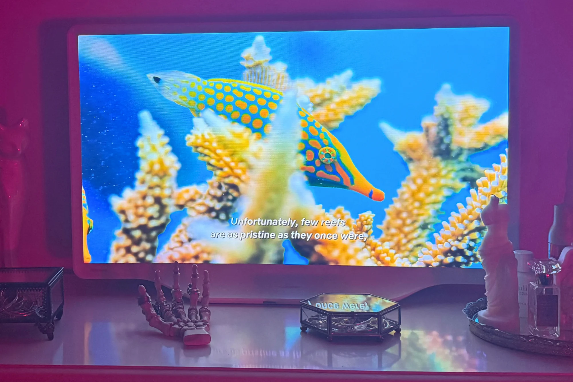 Hisense D&eacute;co TV sitting on dresser while playing a scene from "Our Planet"