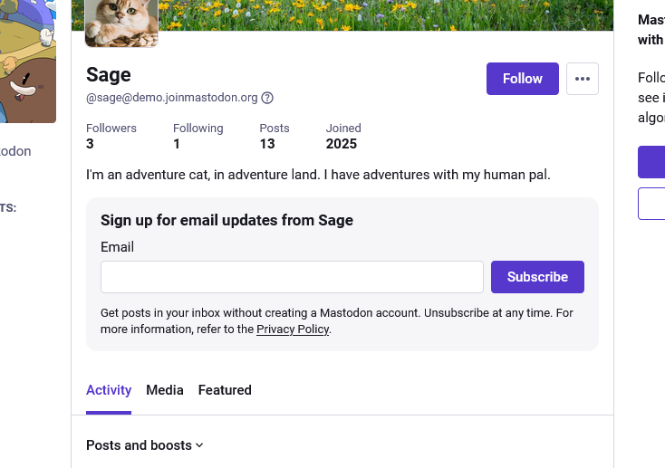 Mastodon looks to newsletters to help revive the open social web