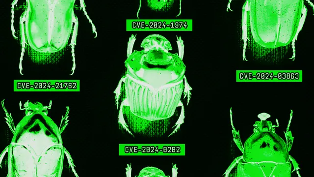 The AI Era Is Creating a Bug-Hunting Arms Race
