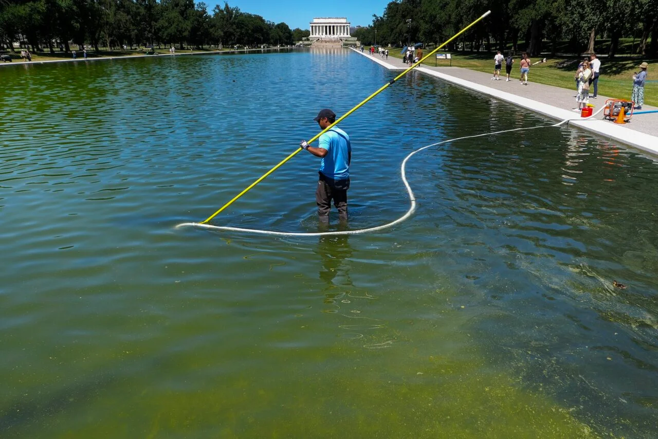 A U.S. National Park Service employee uses a vacuum pump to clean algae off the bottom of the newly repainted Lincoln Memorial Reflecting Pool on the National Mall on June 16, 2026 in Washington, DC.