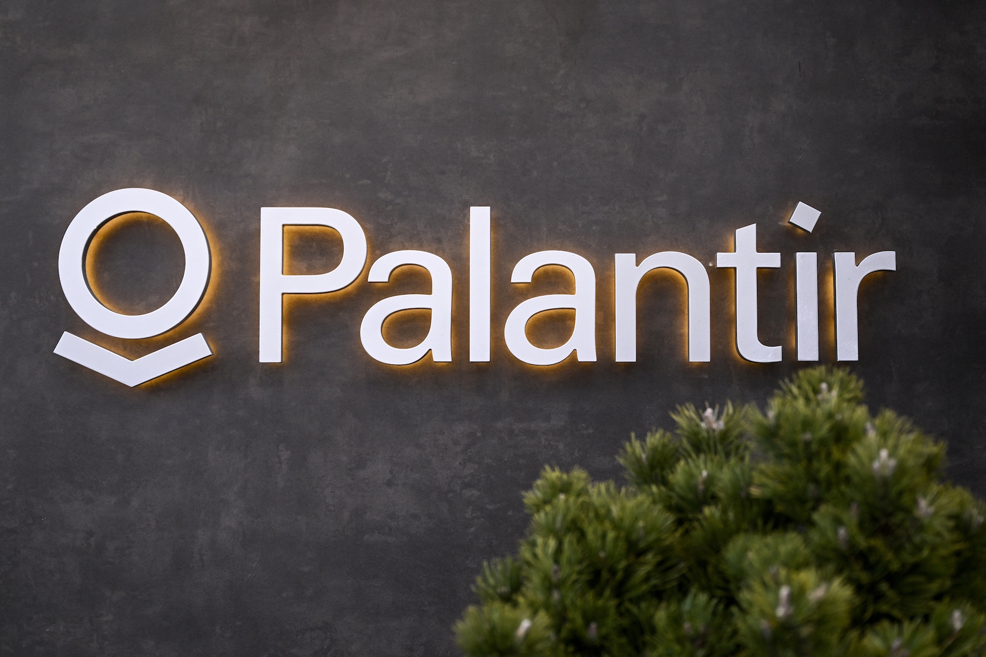 Dear TikTokers With Poor Decision-Making Skills, You Should Not Do the Palantir Speedrun Challenge