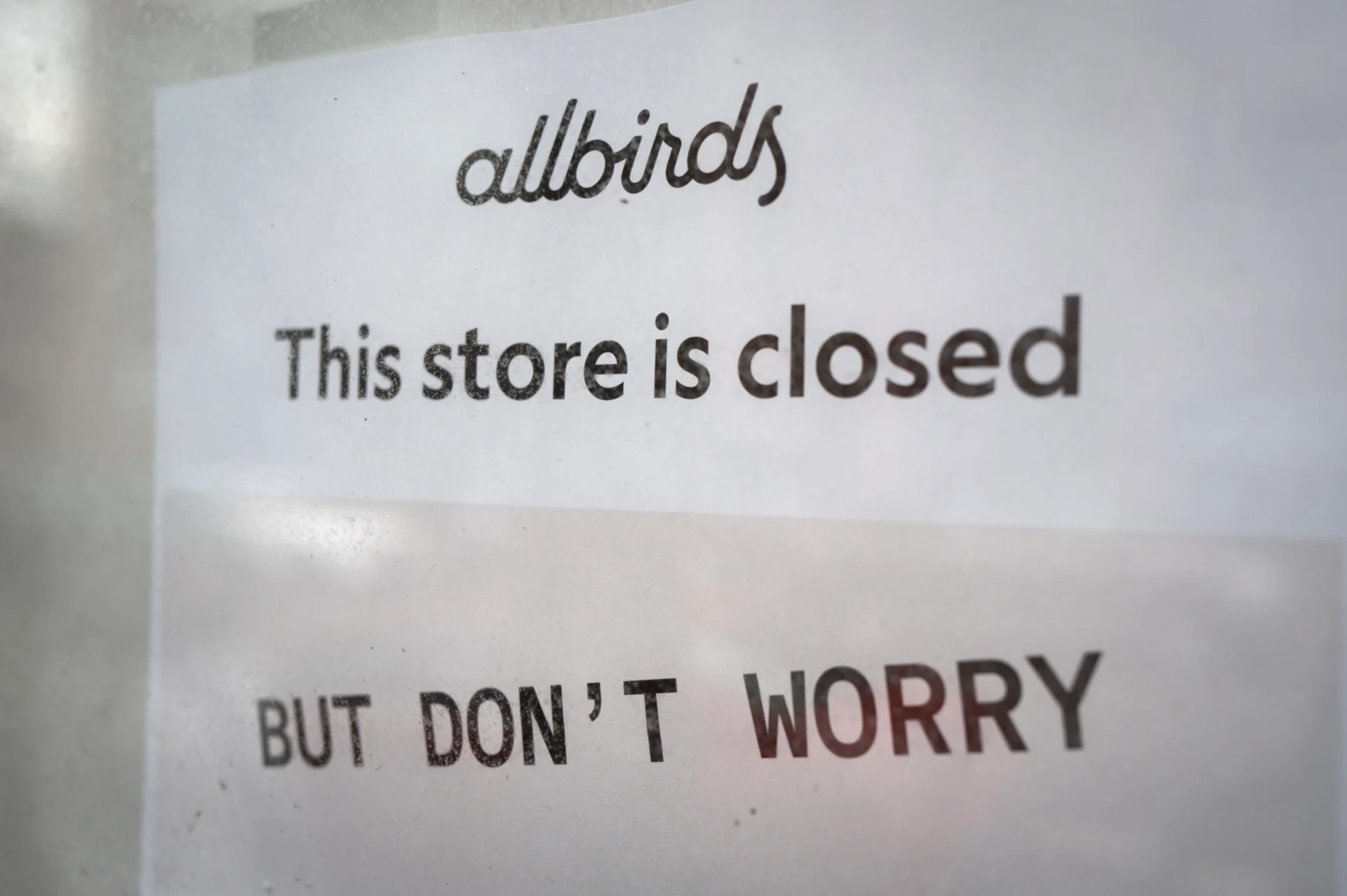 AIbirds Was Sitting Right There: Allbirds Changes Name to Smartbird in AI Pivot