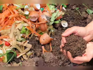 India, New Zealand discuss ways to enhance co-operation in horticulture