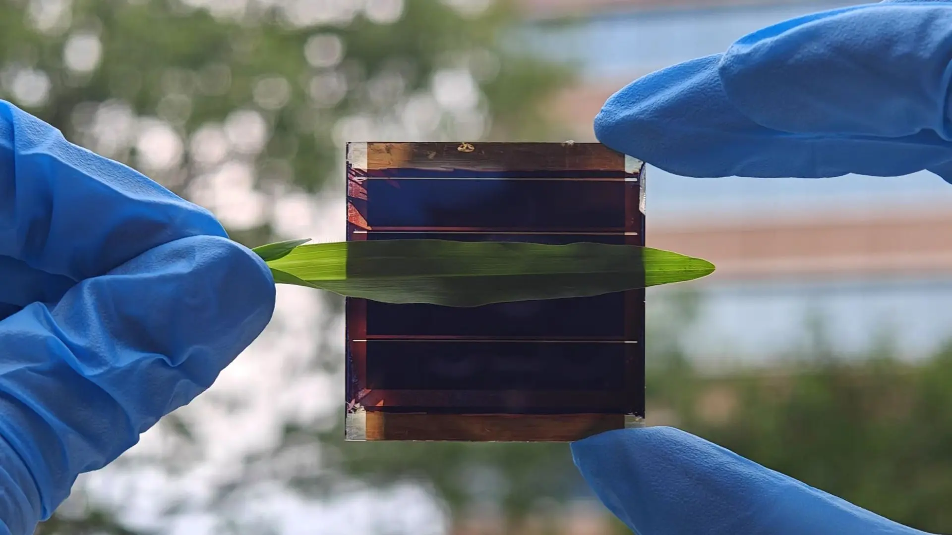New Solar Cells Retain 97% Efficiency Even After Shading