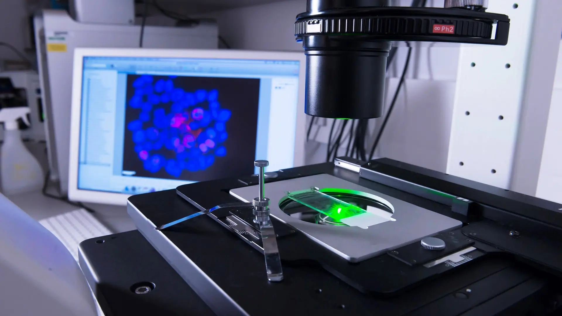 US Scientists Create Ultra-Pure Silicon for Quantum Chips