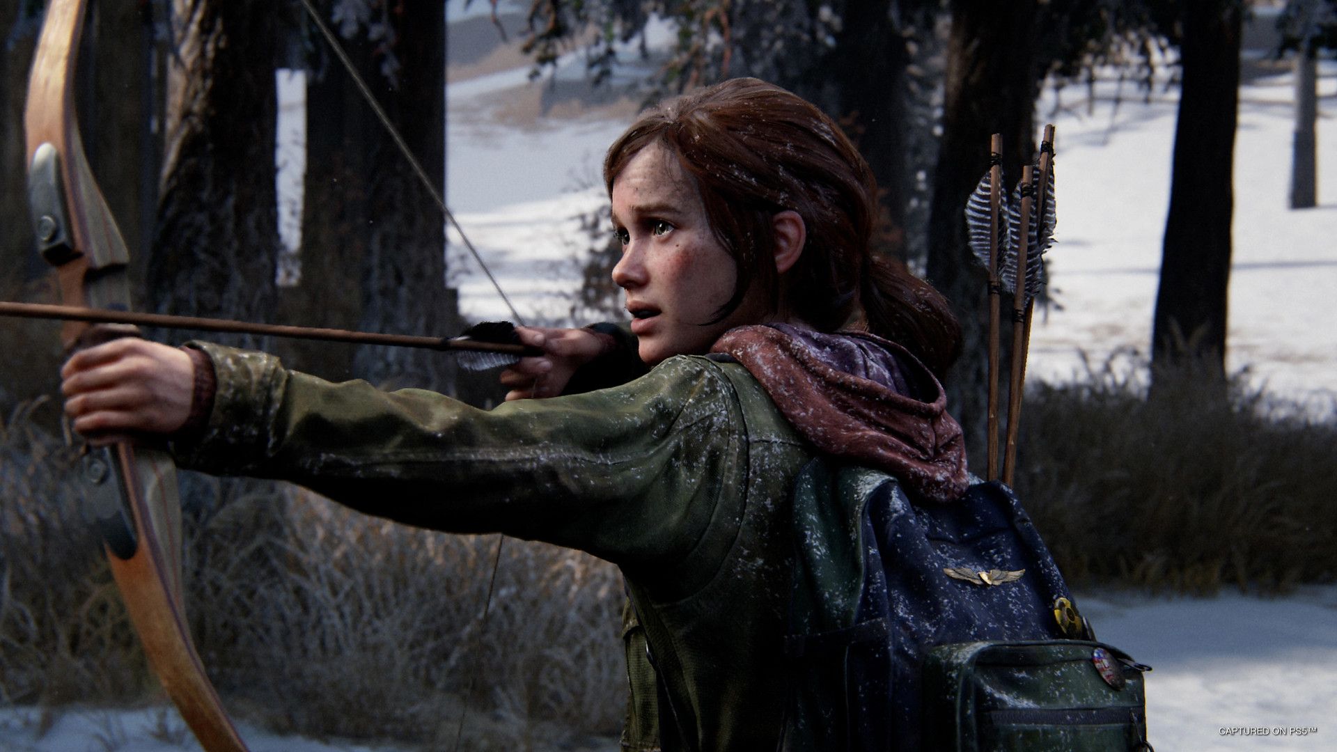 "Single-player, narrative-driven gaming is here to stay," ex-PlayStation boss says: "It's how we built this business. That's what sustains it"