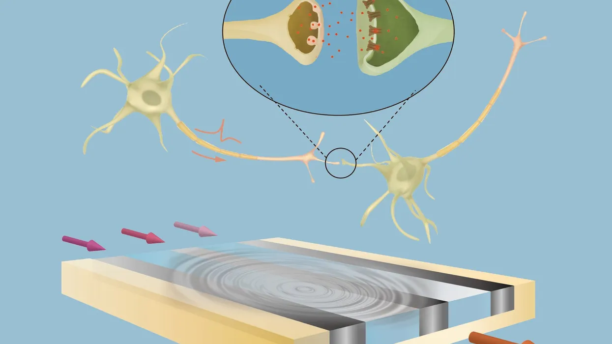 Sound Waves Give Neuromorphic Chips a Brain-Simulating Edge