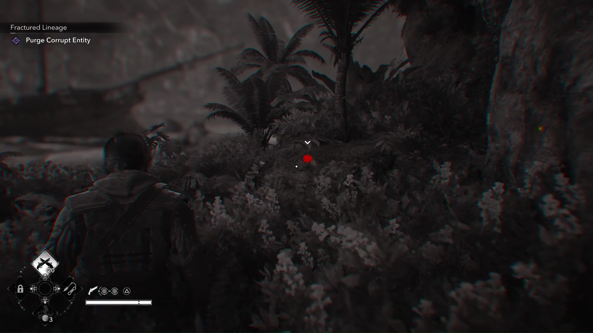 All Animal Pelt, Skin and Hide locations in Black Flag Resynced
